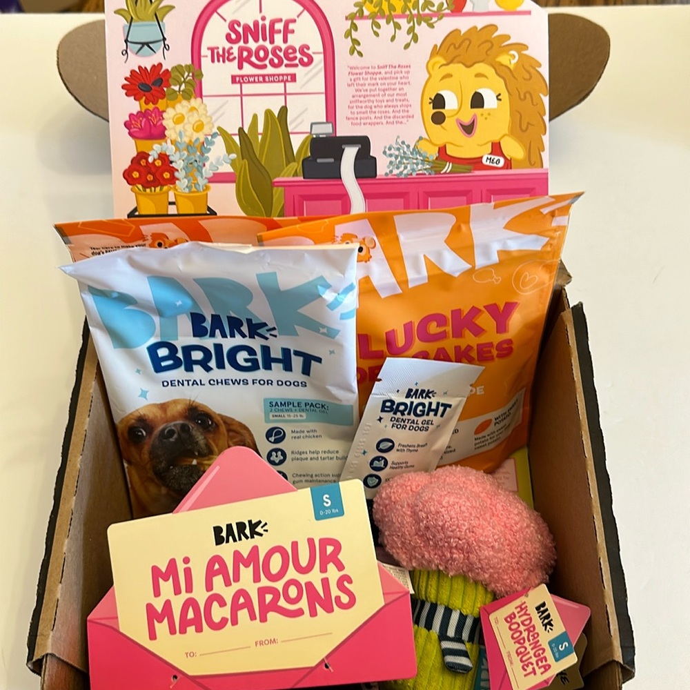 Bark Box Sniff The Roses Flower Shoppe 9 Piece Treats and Toys Box.